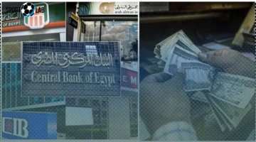 اليوم السبت 22/نوفمبر/2025: أذون الخزانة في 5 بنوك مصرية بعائد مضمون يصل إلى 29% للمستثمرين